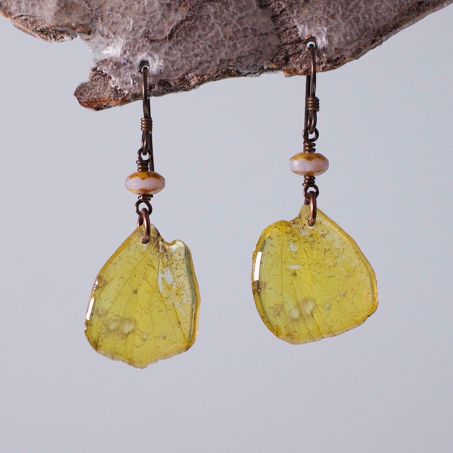 real butterfly earrings Eurema hecabe Czech Glass Copper Niobium French wire earring on woods stand