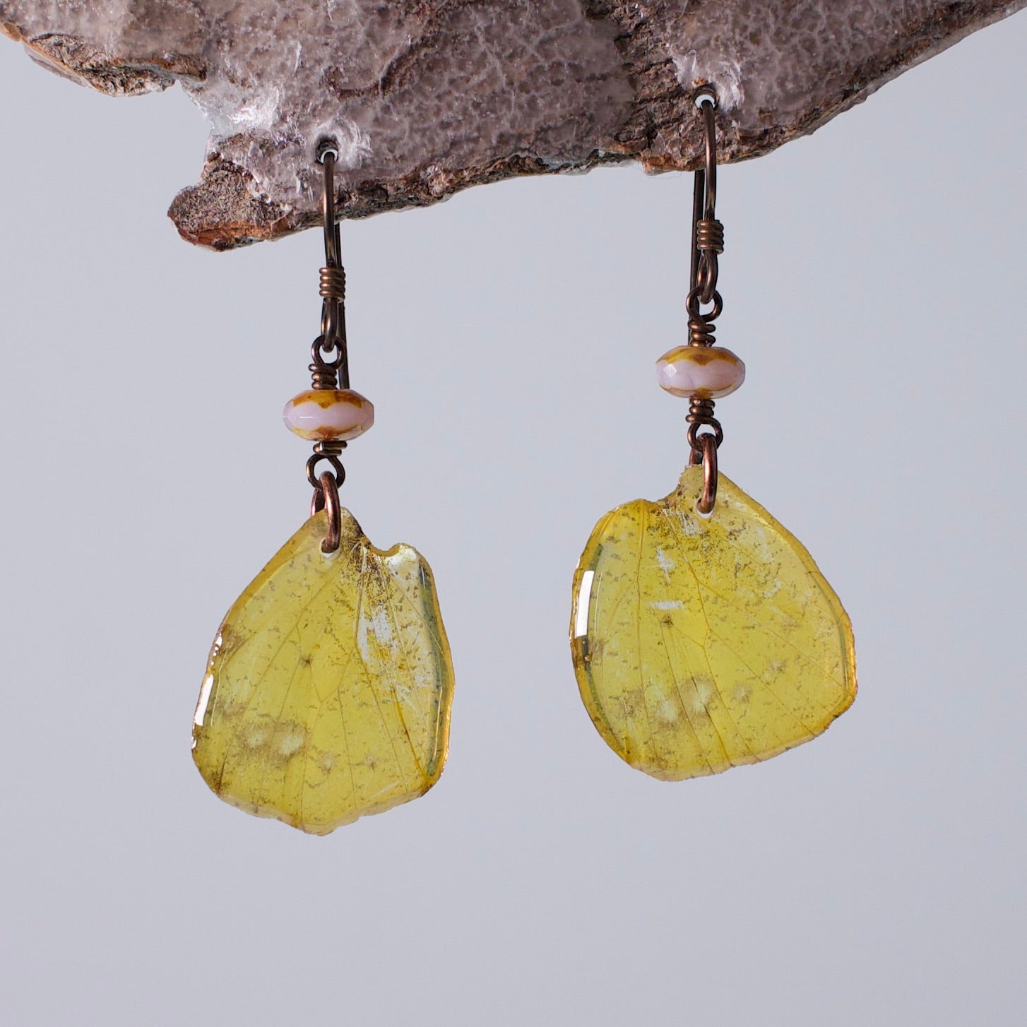 real butterfly earrings Eurema hecabe Czech Glass Copper Niobium French wire earring on woods stand