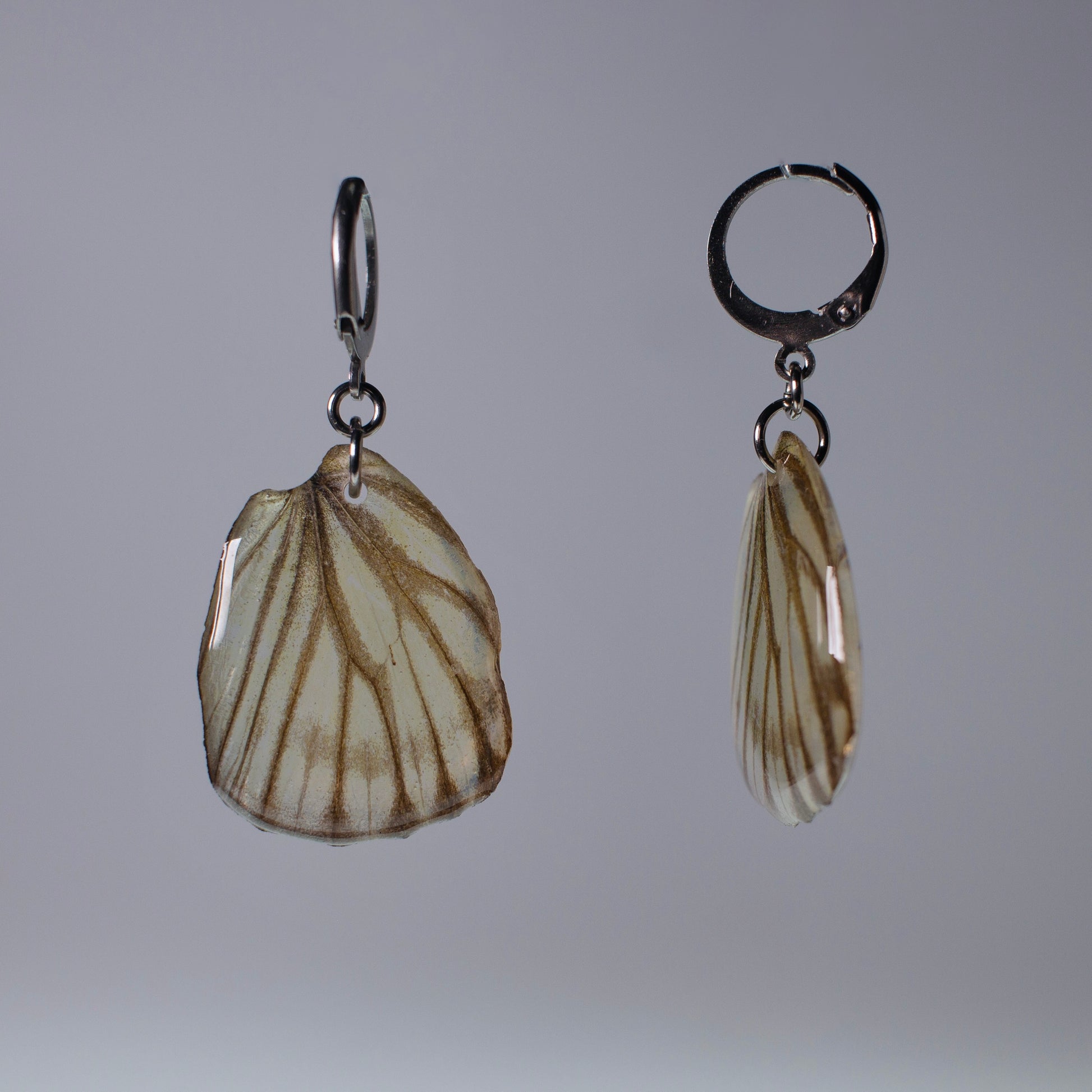 real butterfly earrings striped albatross butterflies hypoallergenic locking surgical steel hoop earring side view