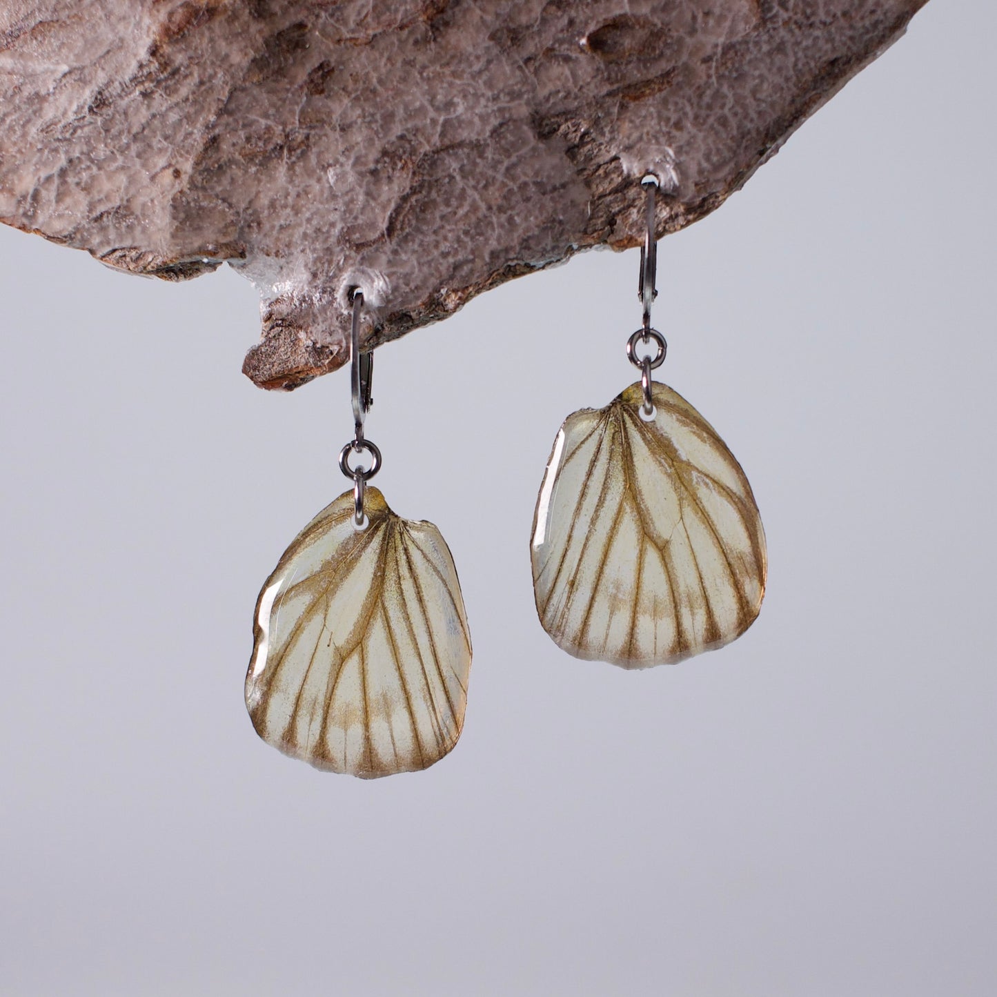 real butterfly earrings butterflies hypoallergenic surgical steel hoop earring on wood stand