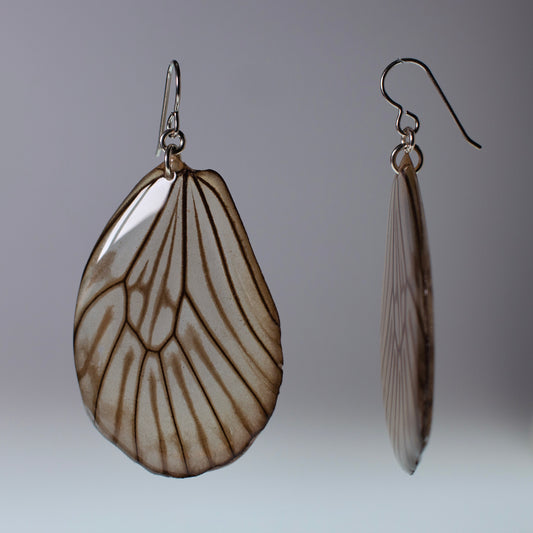 real butterfly wing earring Blanchardii's Ghost black and white striped butterflies silver earring side view