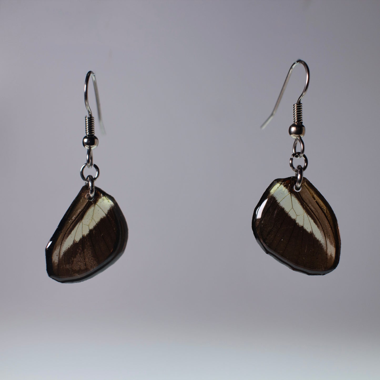real butterfly wing earring Costa Rica butterflies Heliconius hypoallergenic surgical steel French wire earring