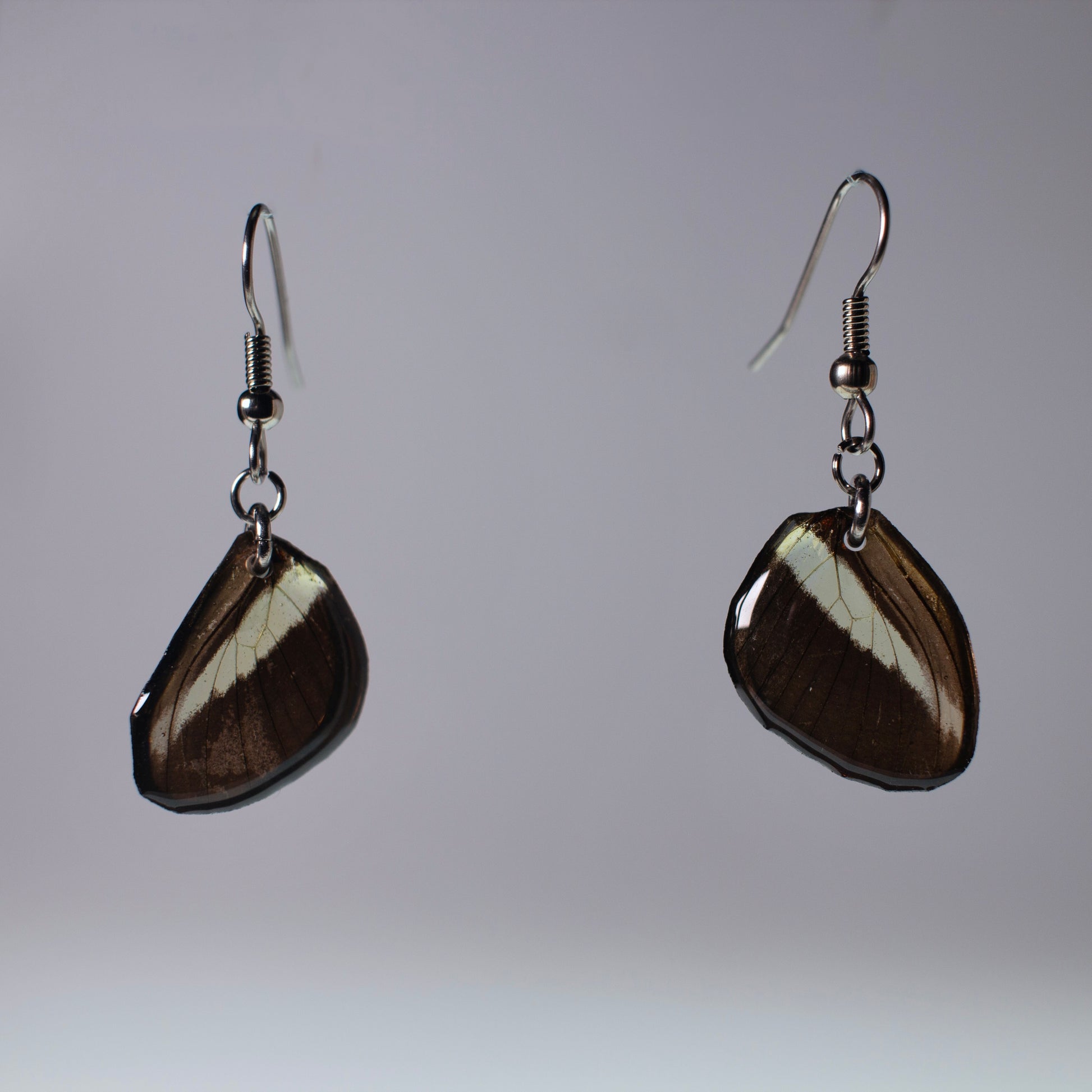 real butterfly wing earring Costa Rica butterflies Heliconius hypoallergenic surgical steel French wire earring