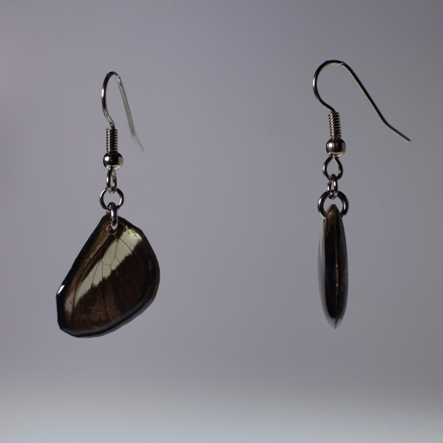 real butterfly wing earring Costa Rica butterflies Heliconius hypoallergenic surgical steel French wire earring side view