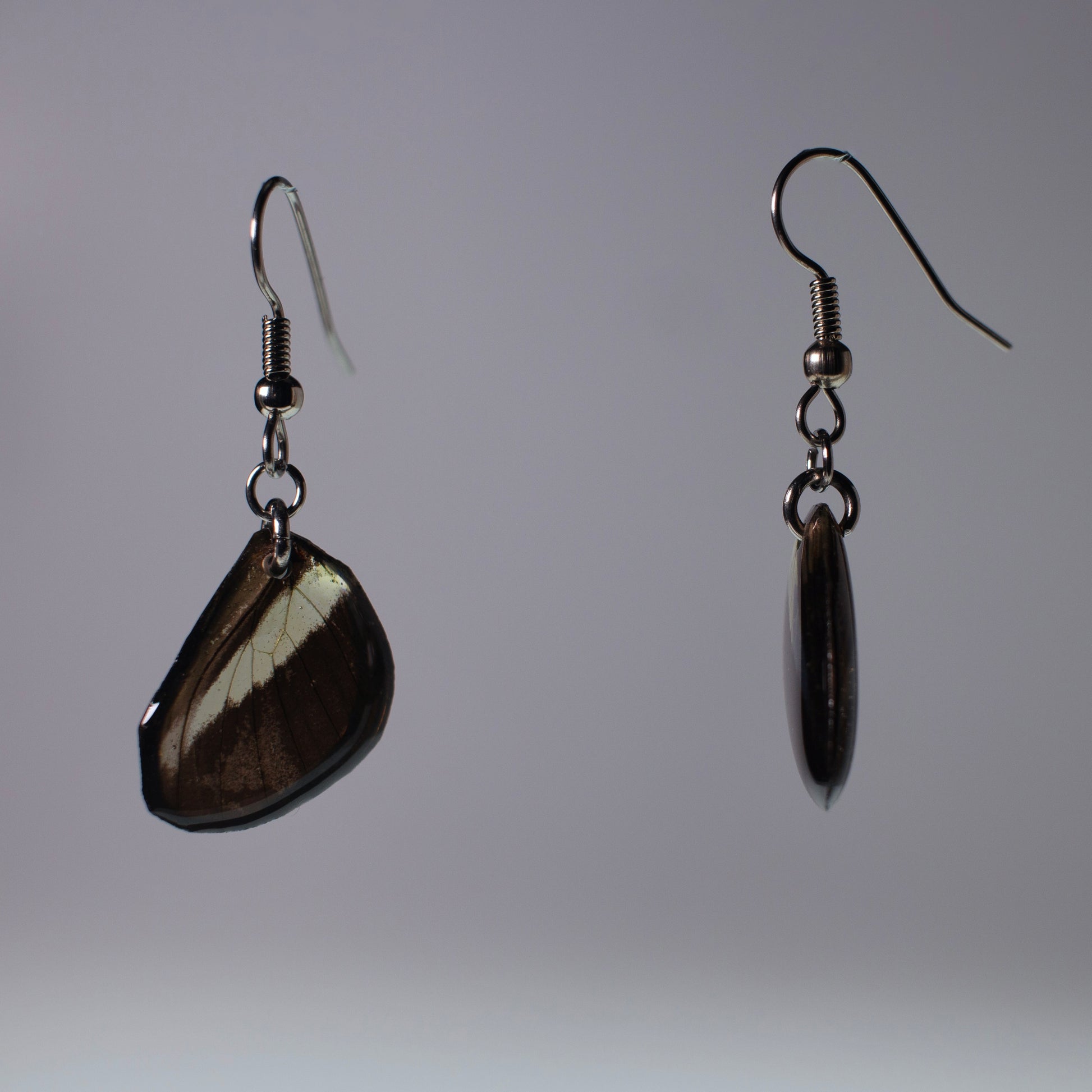 real butterfly wing earring Costa Rica butterflies Heliconius hypoallergenic surgical steel French wire earring side view