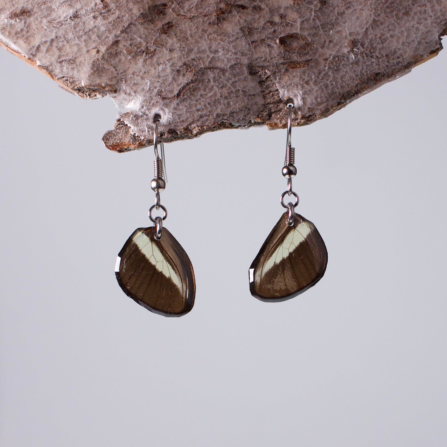 real butterfly wing earring Costa Rica butterflies Heliconius hypoallergenic surgical steel earring on wood stand