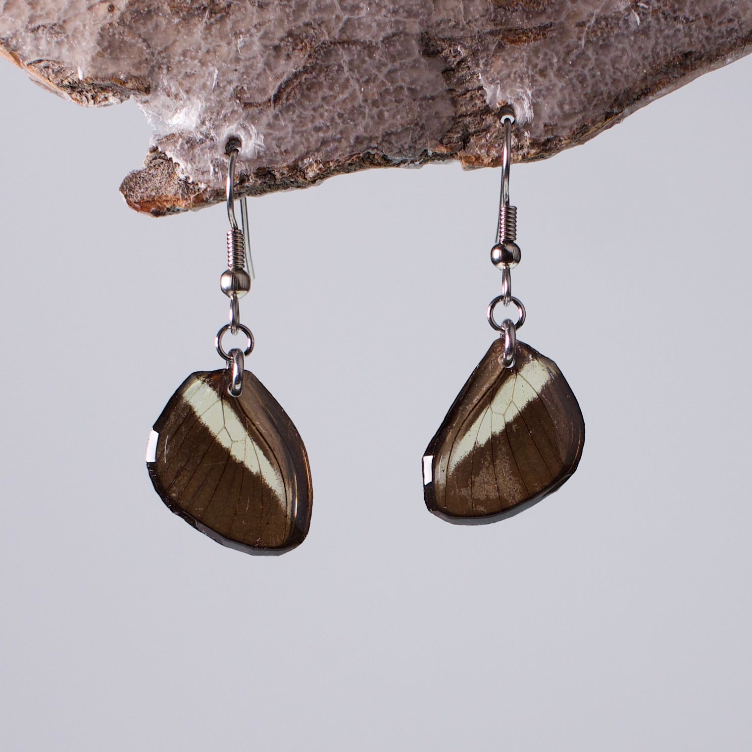 real butterfly wing earring Costa Rica butterflies Heliconius surgical steel French earring wires on wax stand