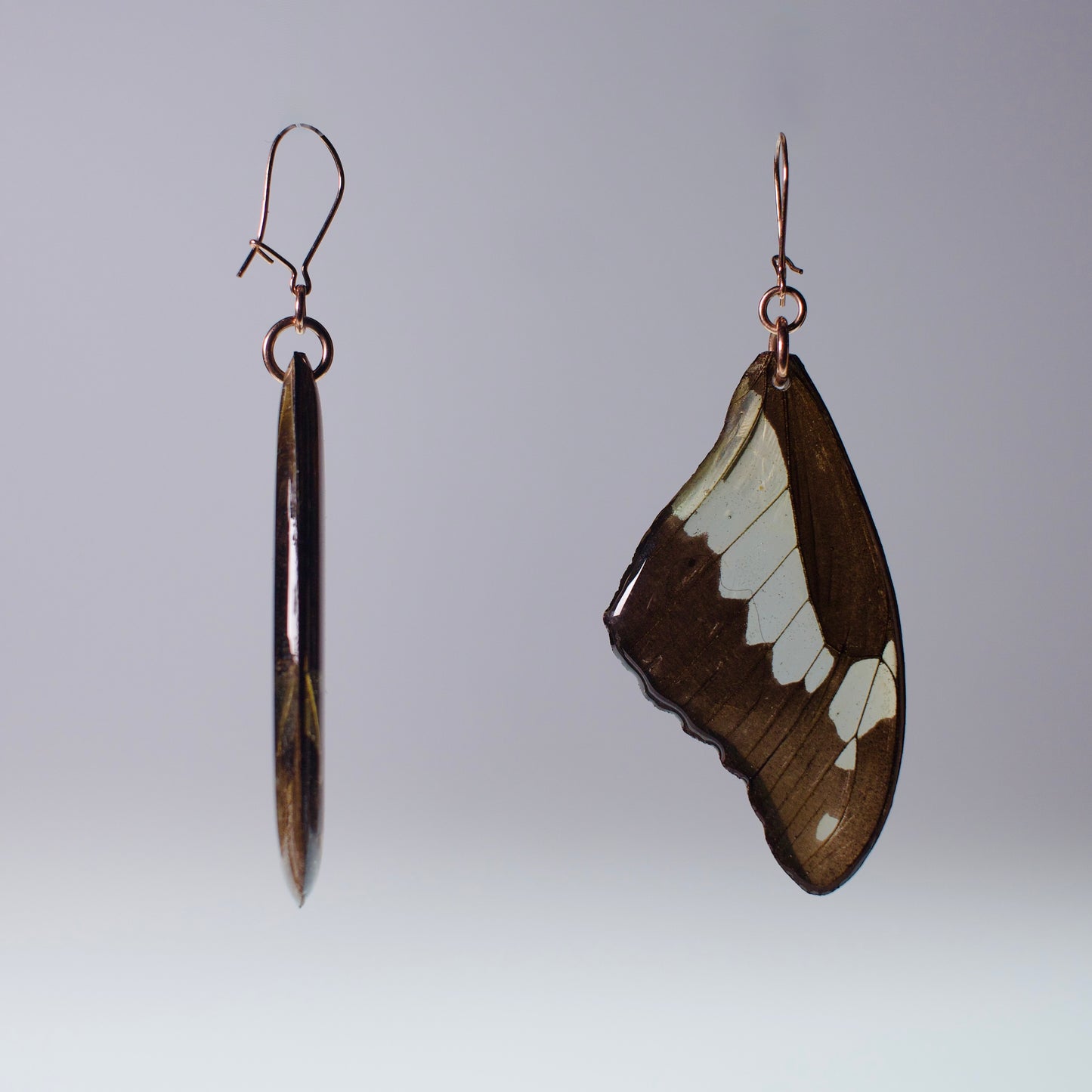 real butterfly wing earring green apple swallowtail rose gold locking earrings side view