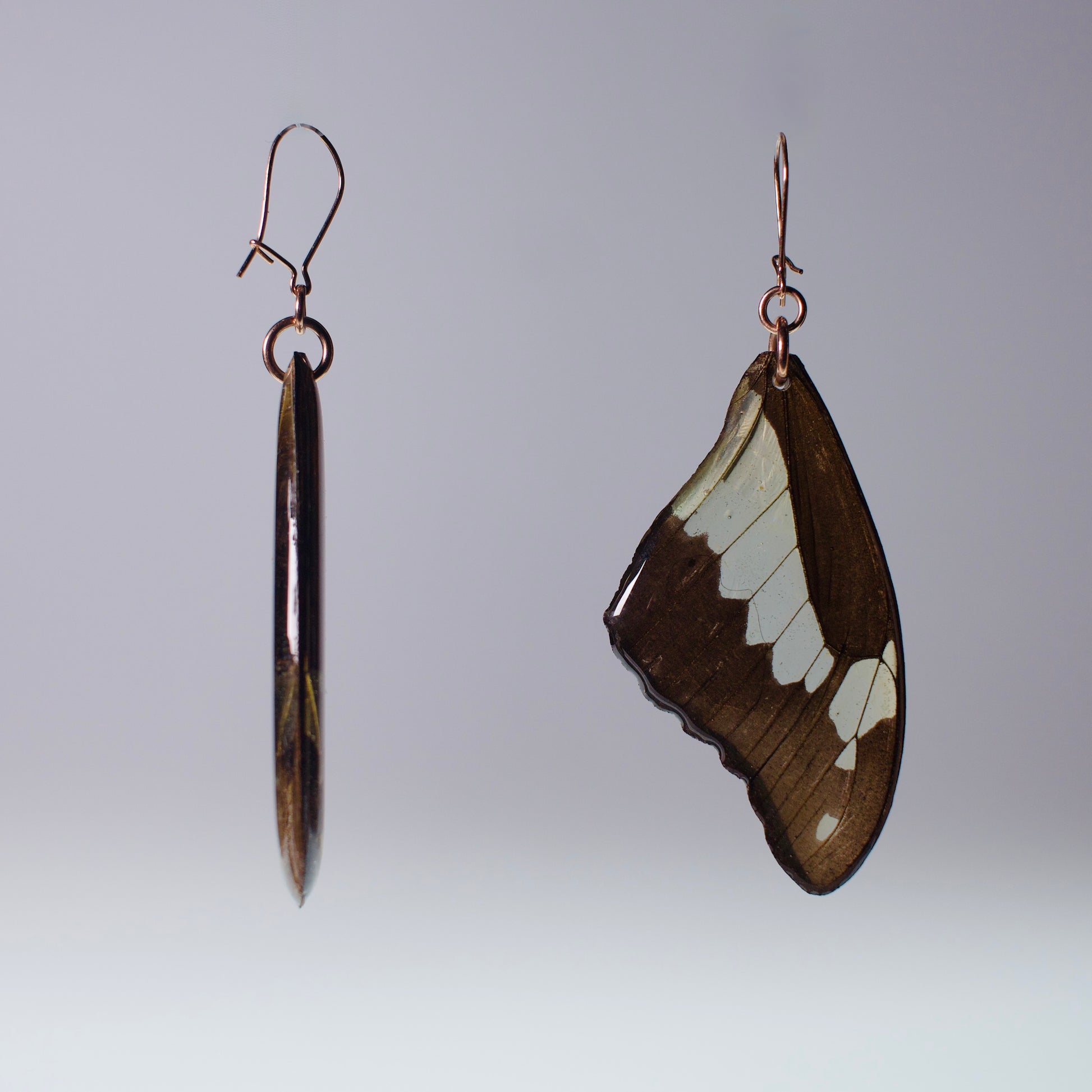 real butterfly wing earring green apple swallowtail rose gold locking earrings side view