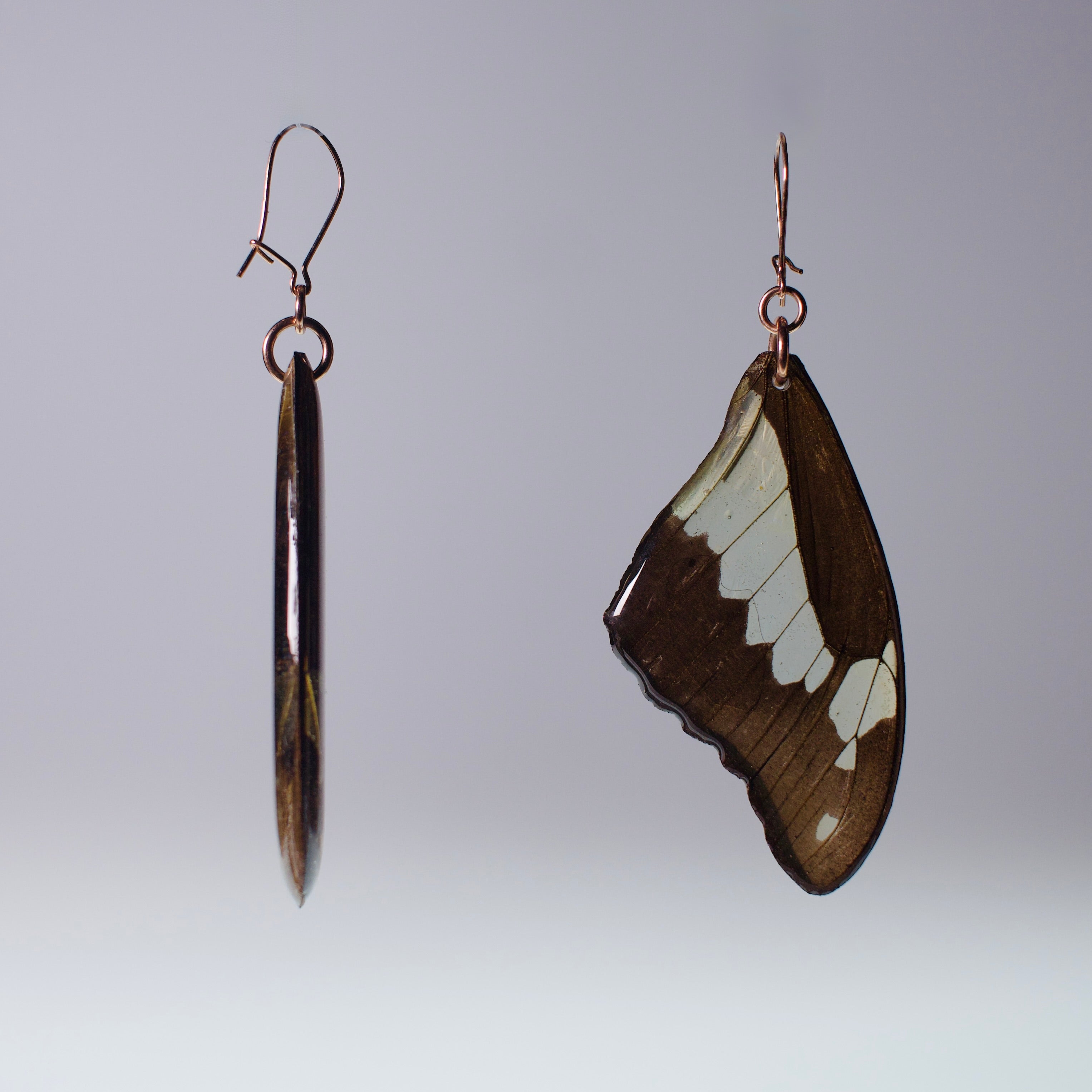 real butterfly wing earring green apple swallowtail rose gold locking earrings side view