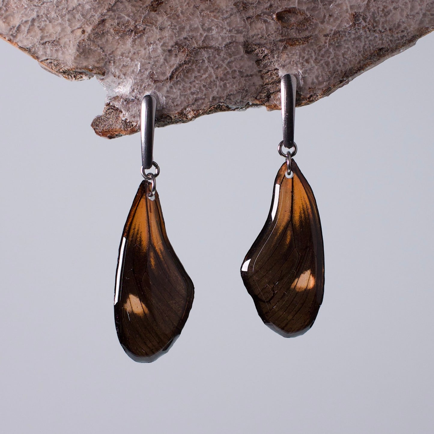 real butterfly wing earring red black butterflies hypoallergenic surgical steel long earrings on wood stand