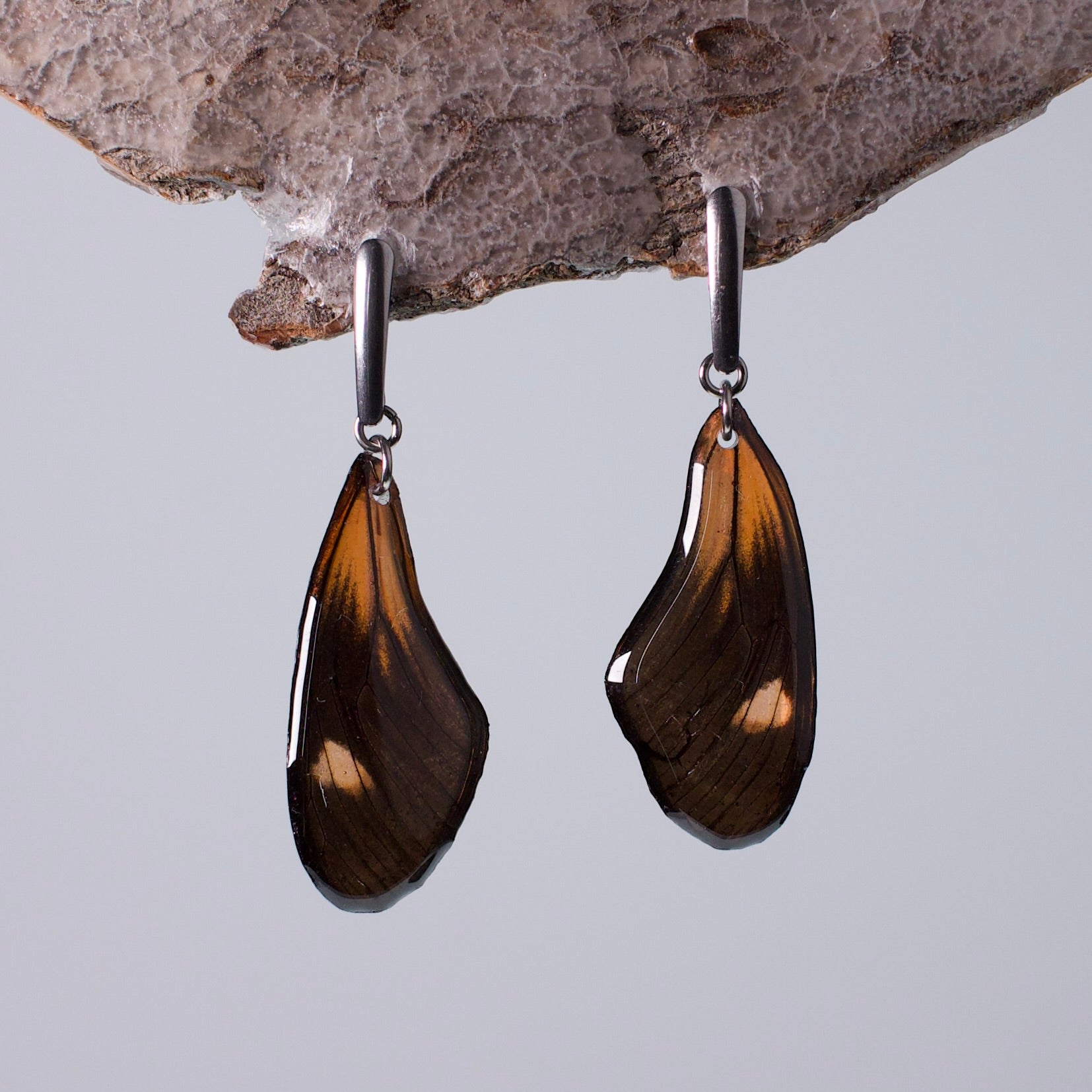 real butterfly wing earring red black butterflies hypoallergenic surgical steel long earrings on wood stand