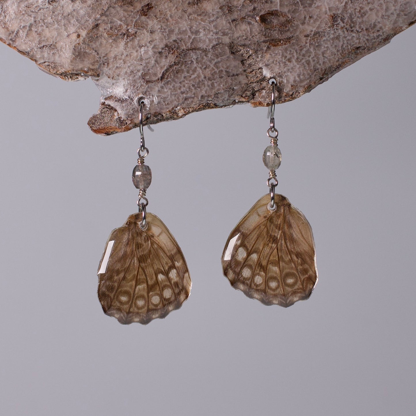 real butterfly wing earring spotted butterflies tourmaline surgical steel on wood stand