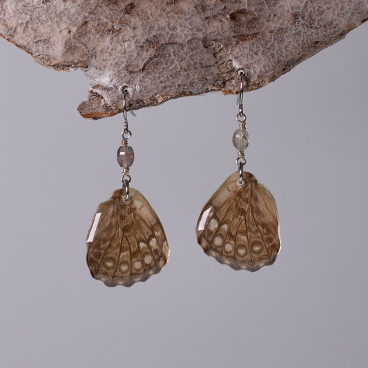 real butterfly wing earring spotted butterflies tourmaline surgical steel on wood stand