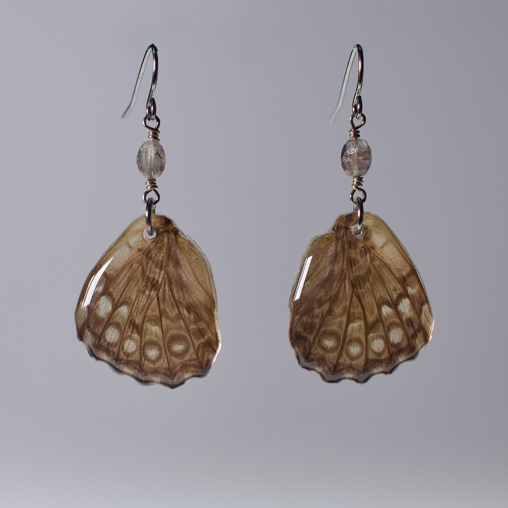 real butterfly wing earring spotted butterflies tourmaline surgical steel French hook ear wires