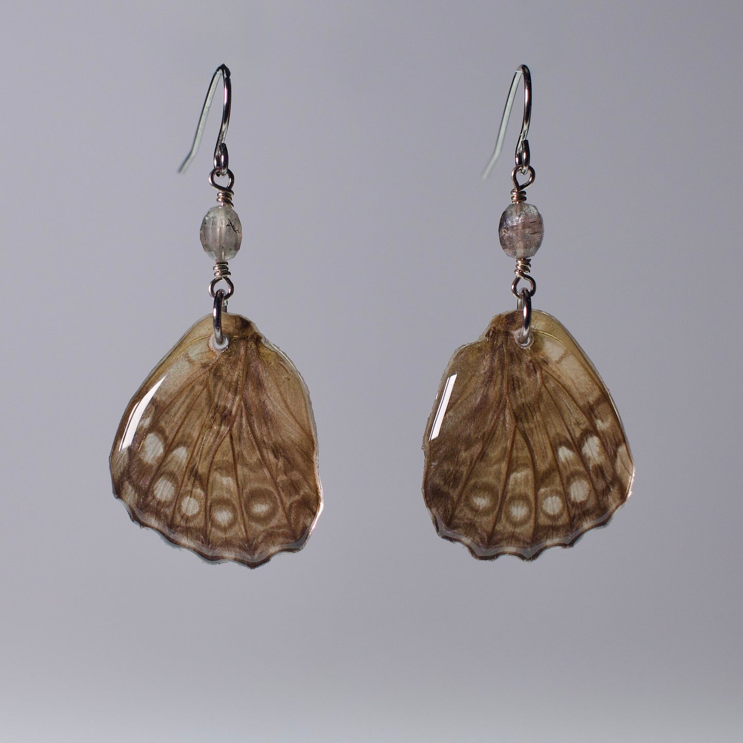 real butterfly wing earring spotted butterflies tourmaline surgical steel French hook ear wires