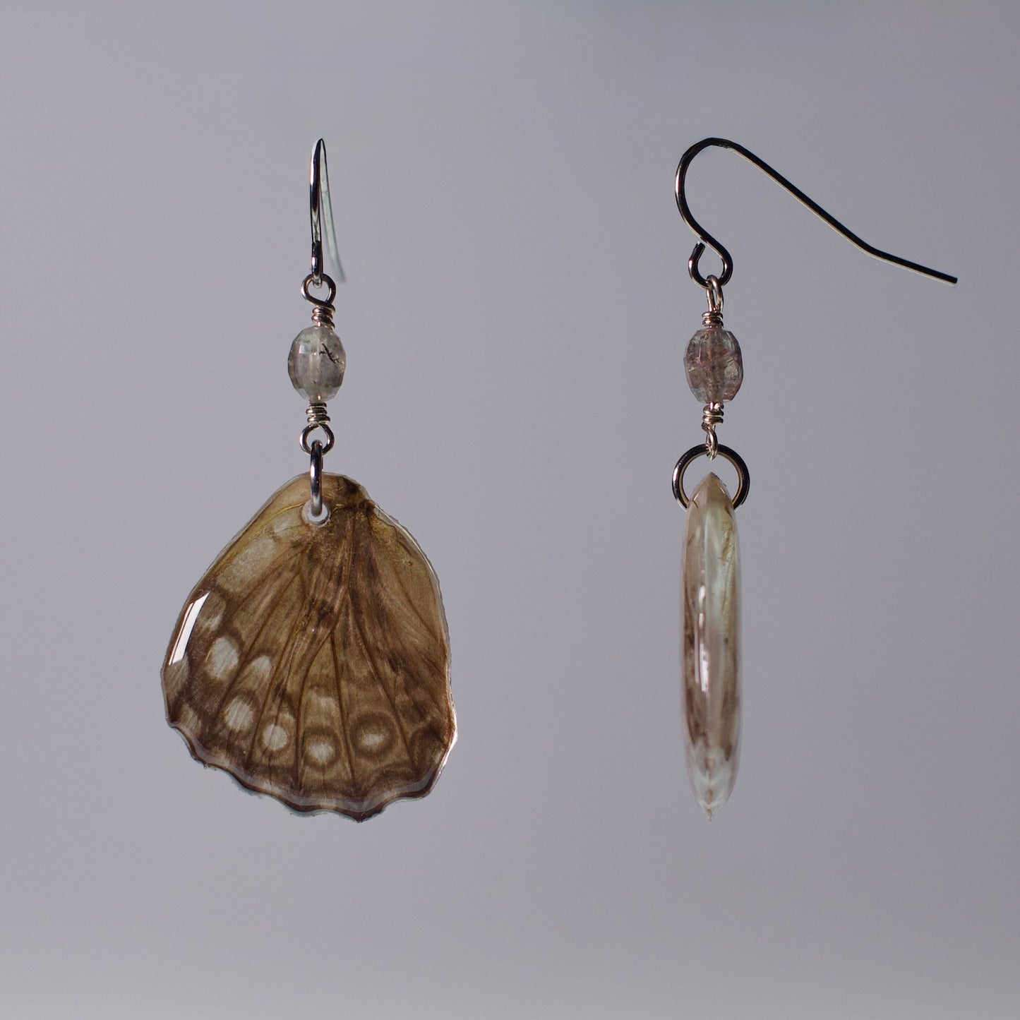 real butterfly wing earring spotted butterflies tourmaline surgical steel French hook ear wires side view