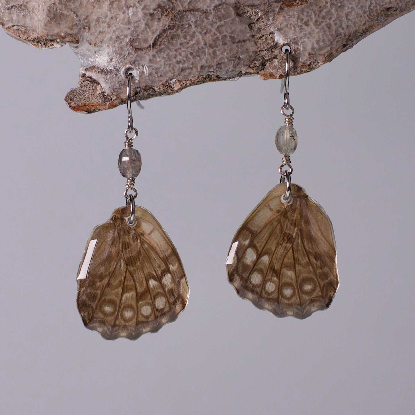 real butterfly wing earring spotted butterflies tourmaline surgical steel French hooks on wood stand