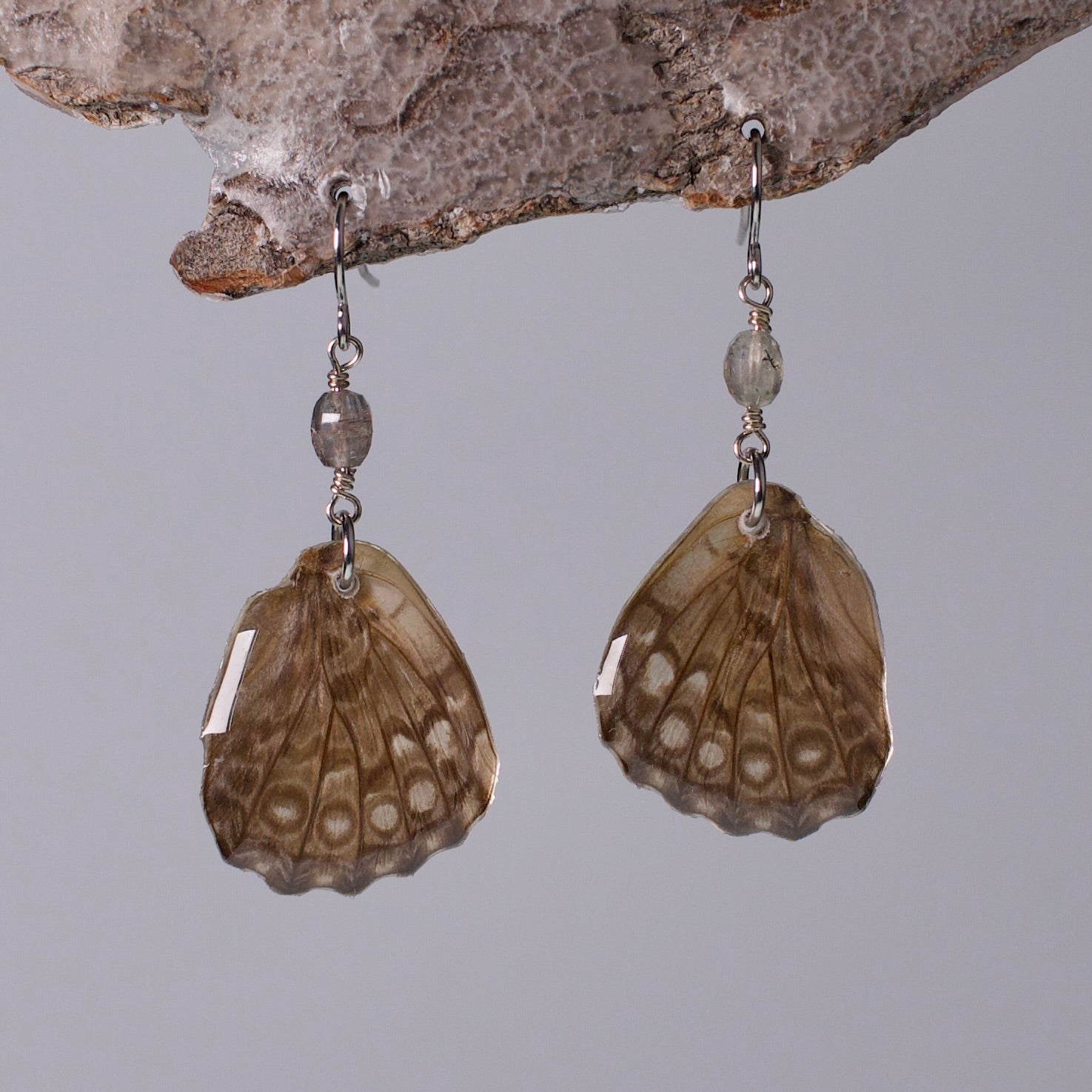 real butterfly wing earring spotted butterflies tourmaline surgical steel French hooks on wood stand