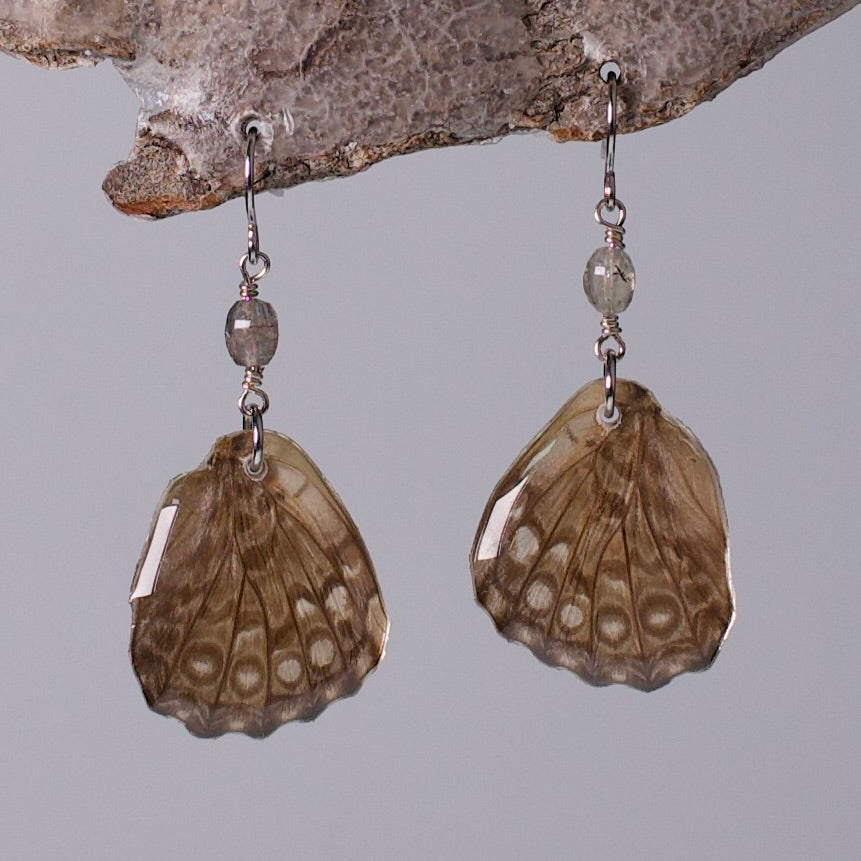 real butterfly wing earring spotted taupe butterflies tourmaline surgical steel on wood stand