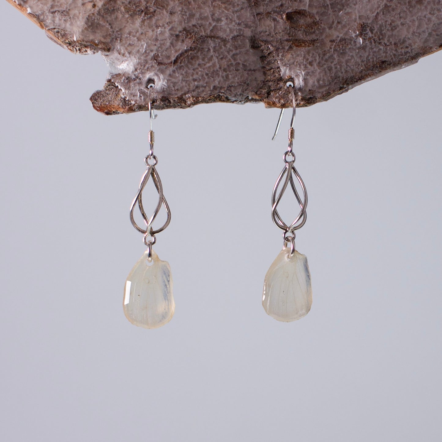 real butterfly wing earrings Falcate orange tip butterflies sterling silver geometric swirl earring on wood stand