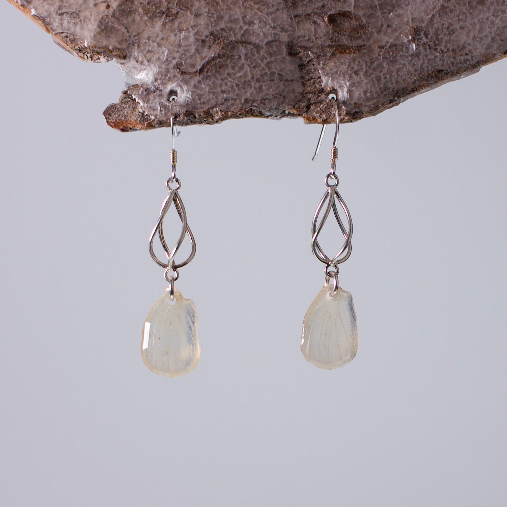 real butterfly wing earrings Falcate orange tip butterflies sterling silver geometric swirl earring on wood stand