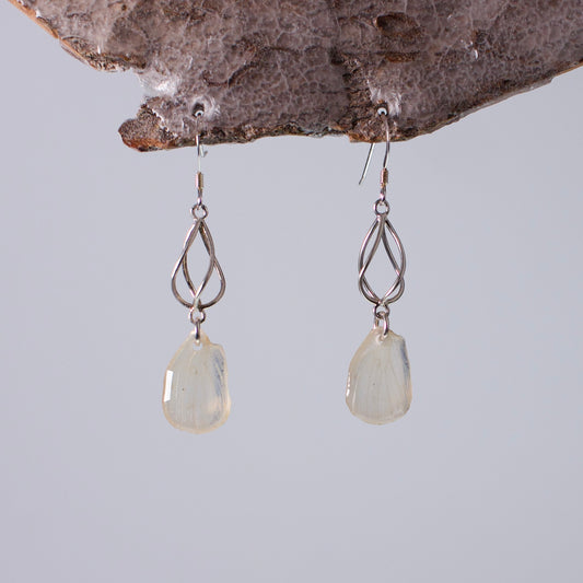 real butterfly wing earrings Falcate orange tip butterflies sterling silver geometric swirl earring on wood stand