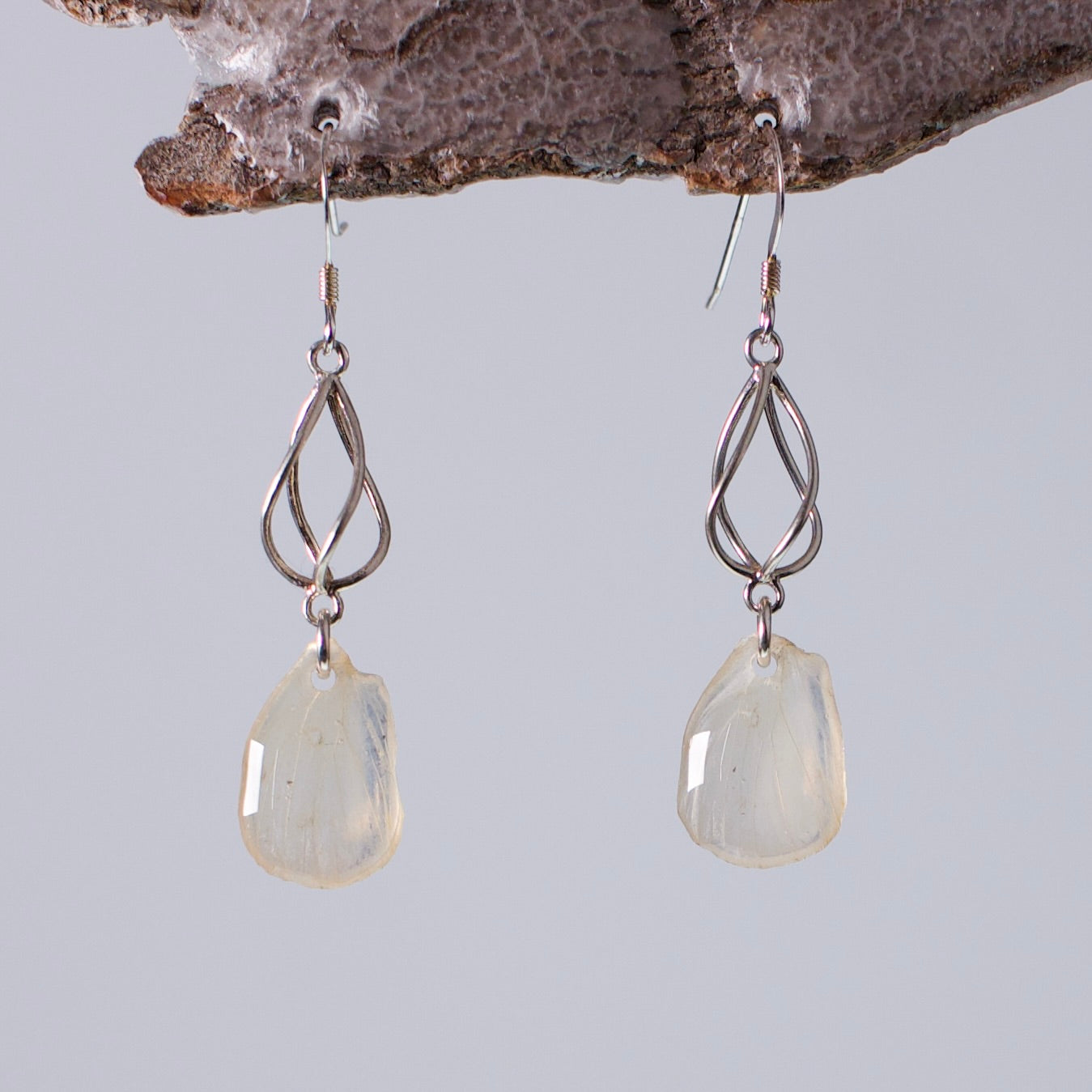 real butterfly wing earrings Falcate orange tip butterflies sterling silver geometric swirl and French ear wires on wood stand