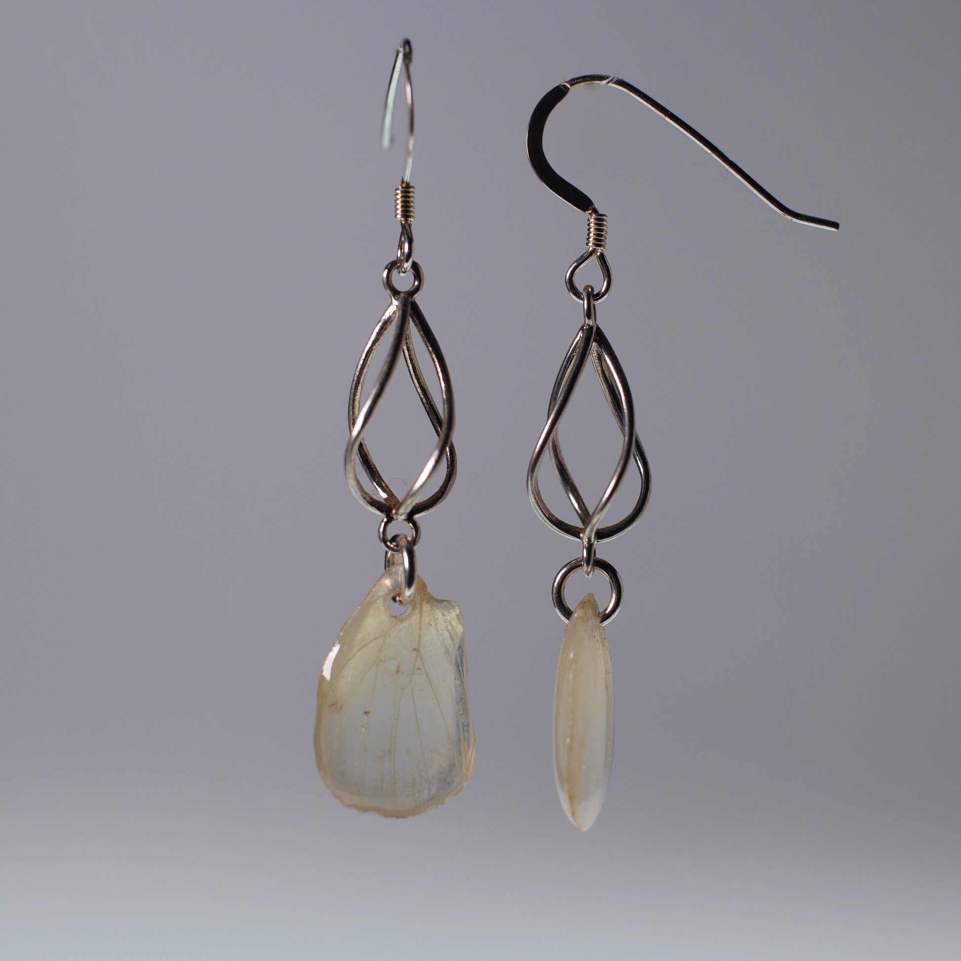 real butterfly wing earrings Falcate orange tip butterflies sterling silver geometric swirl earring side view