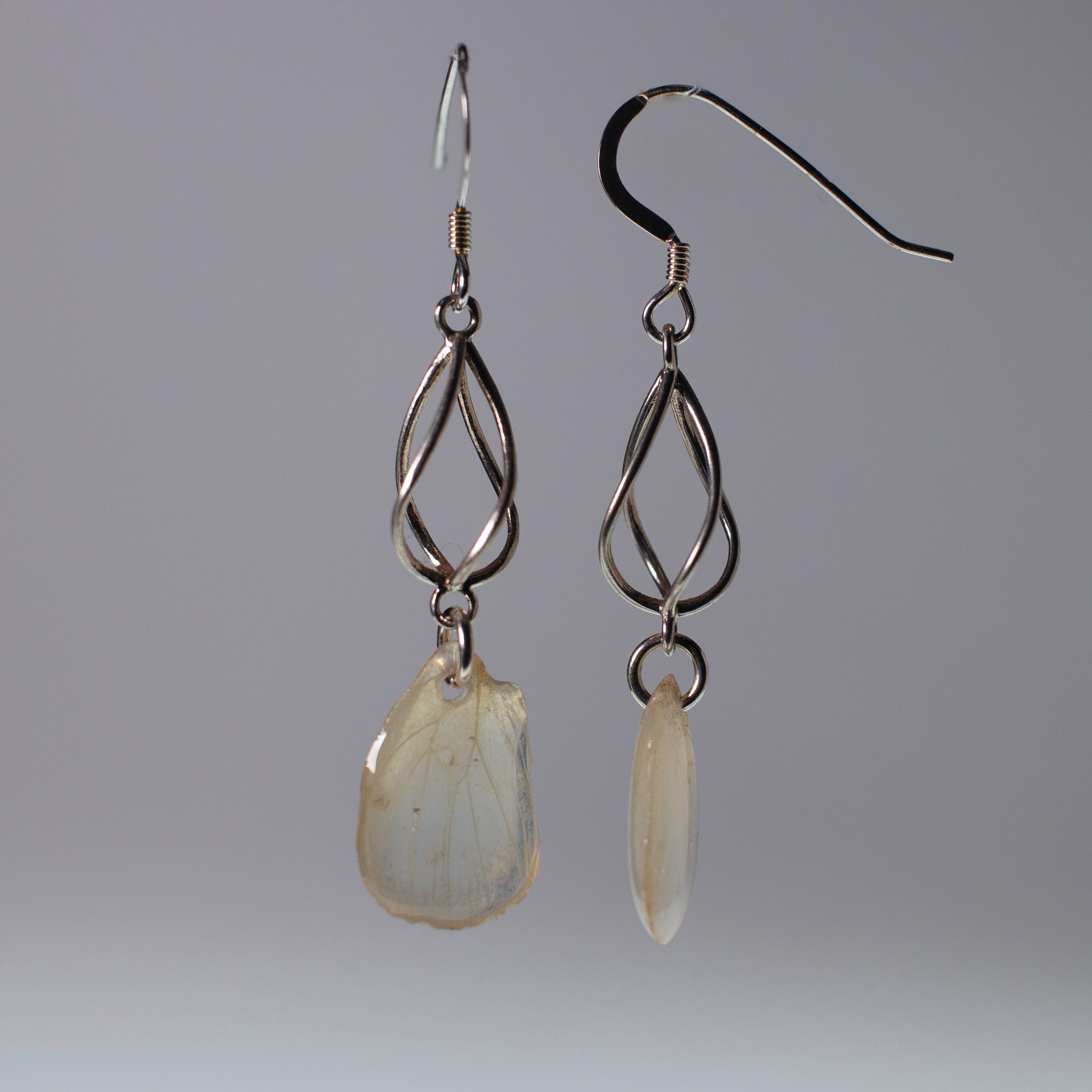 real butterfly wing earrings Falcate orange tip butterflies sterling silver geometric swirl earring side view