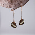 real butterfly wing earrings Heliconius butterflies gold long French hooks on wood stand