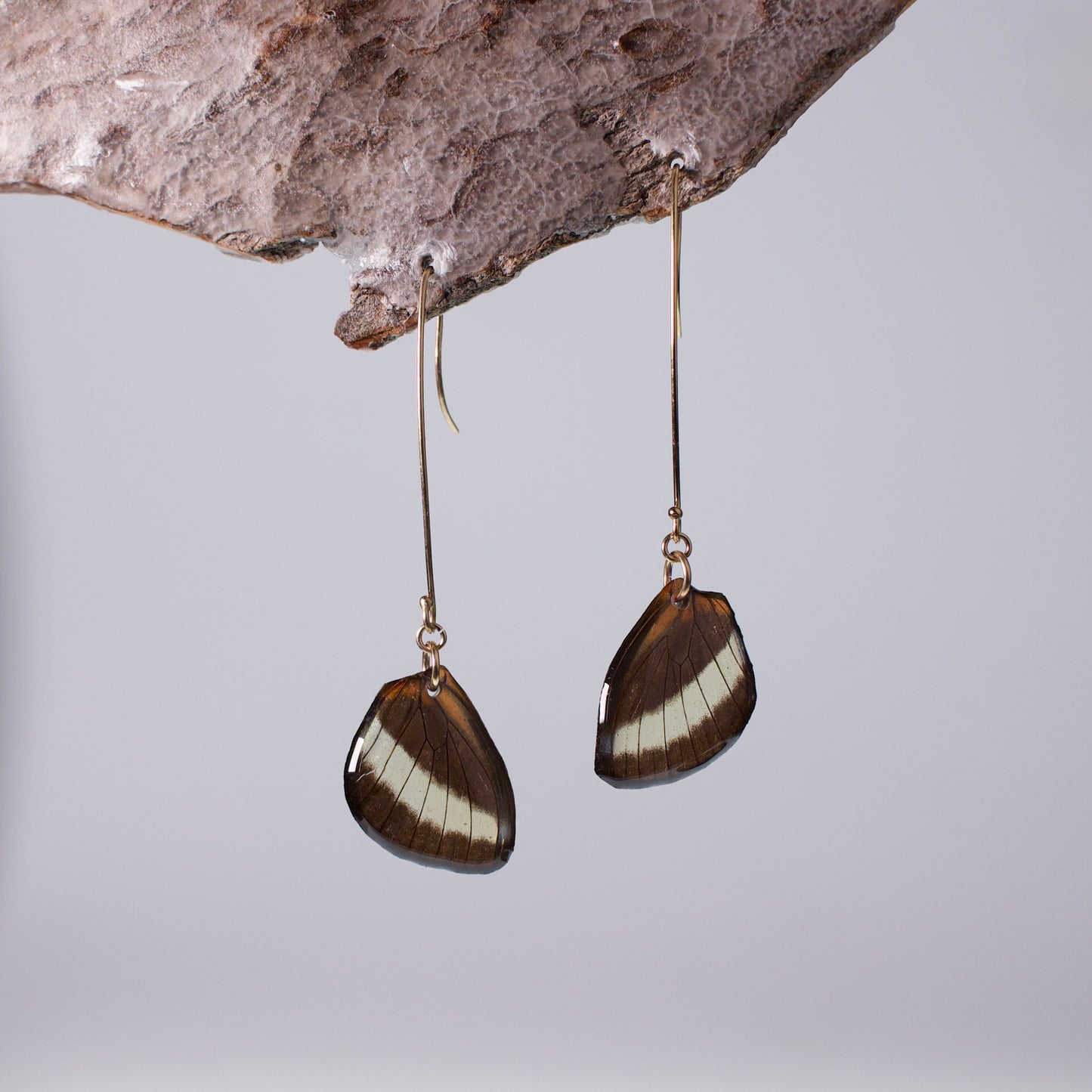 real butterfly wing earrings Heliconius butterflies gold long French hooks on wood stand