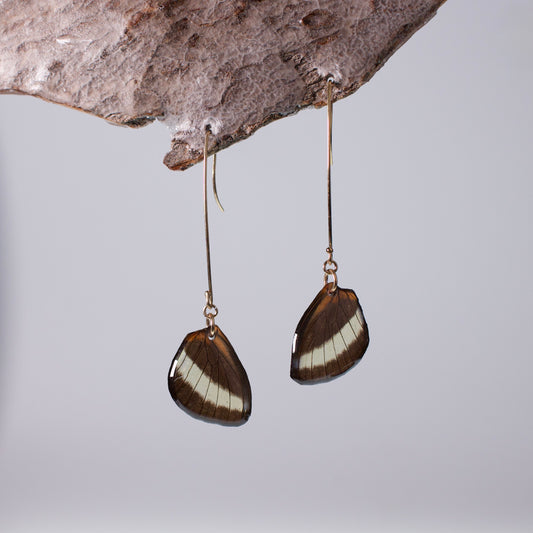 real butterfly wing earrings Heliconius butterflies gold long French hooks on wood stand