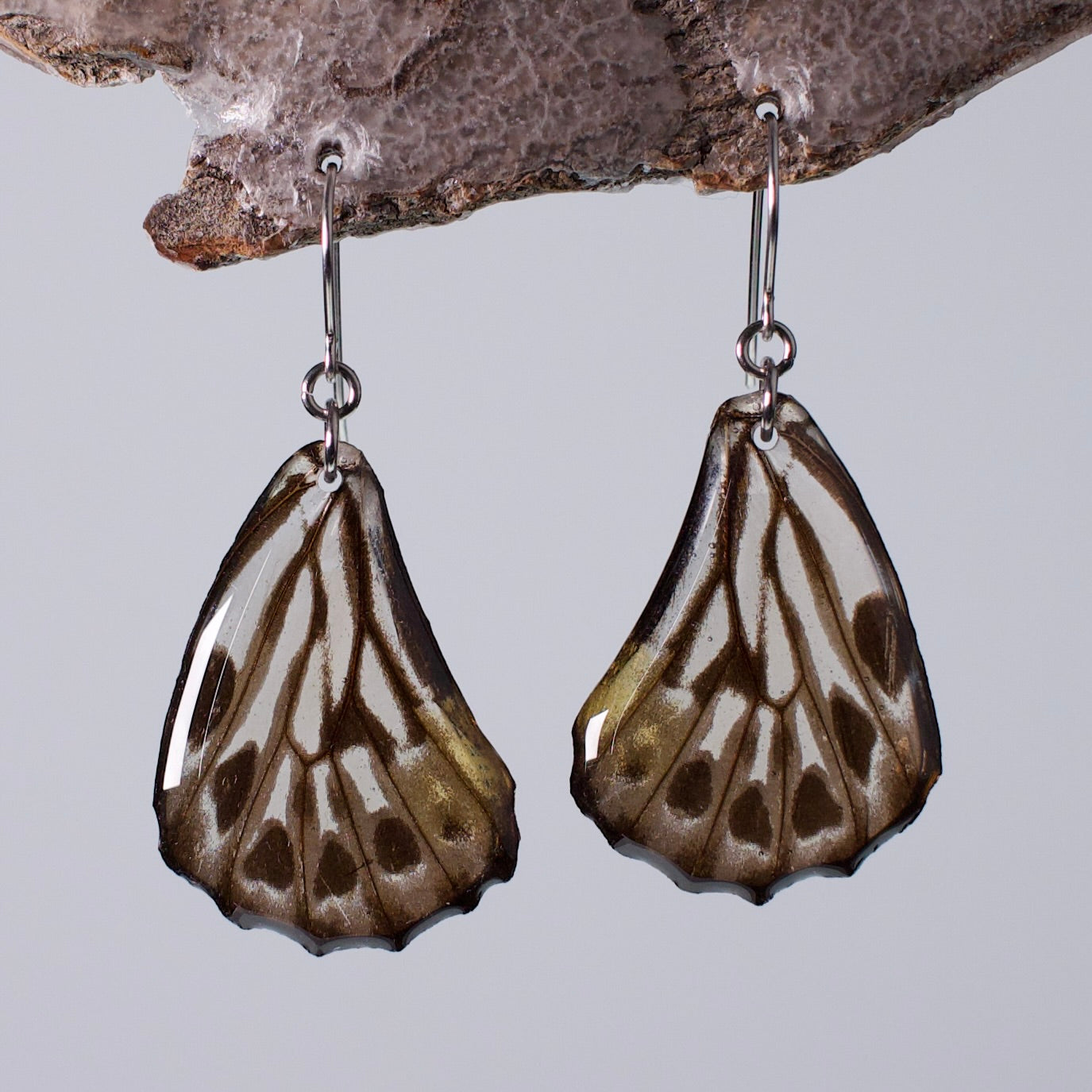 real butterfly wing earrings black and white butterflies hypoallergenic surgical steel hanging from wood