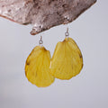 real butterfly wing earrings brimstone butterflies sterling silver French hook earring on wood stand