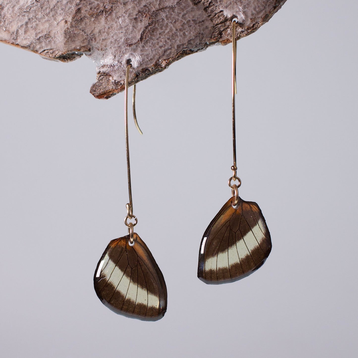 real butterfly wing earrings glasswing butterflies gold long ear hooks on wood stand
