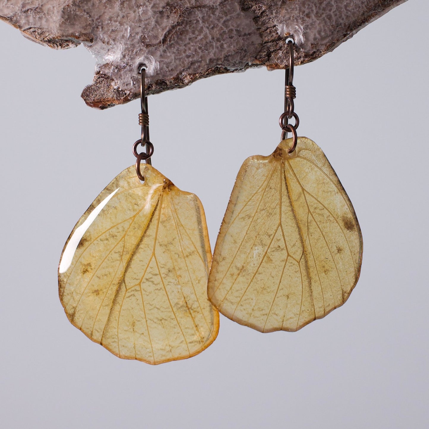 real butterfly wing earrings great orange tip butterflies copper niobium French wire earring on wood stand