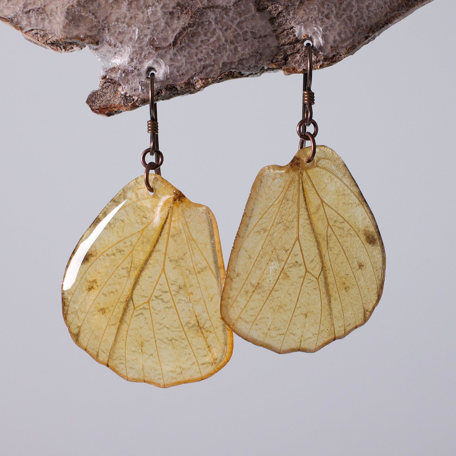 real butterfly wing earrings great orange tip butterflies copper niobium French wire earring on wood stand