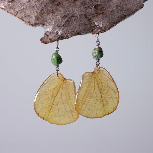 real butterfly wing earrings great orange tip butterflies gaspeite surgical steel earring on wood stand