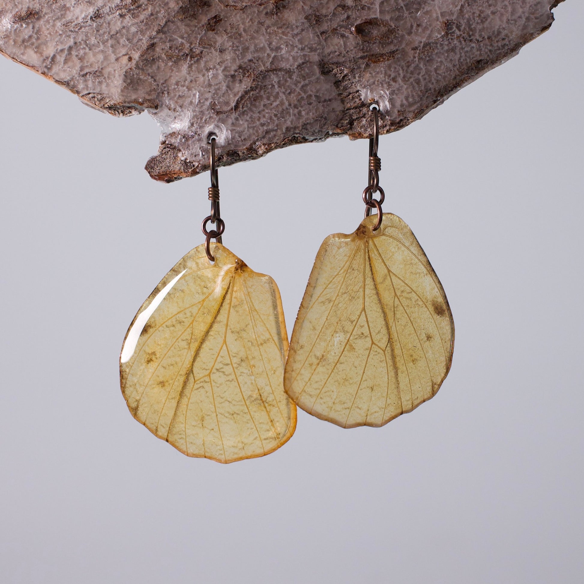 real butterfly wing earrings great orange tip butterflies hypoallergenic niobium earring on wood stand