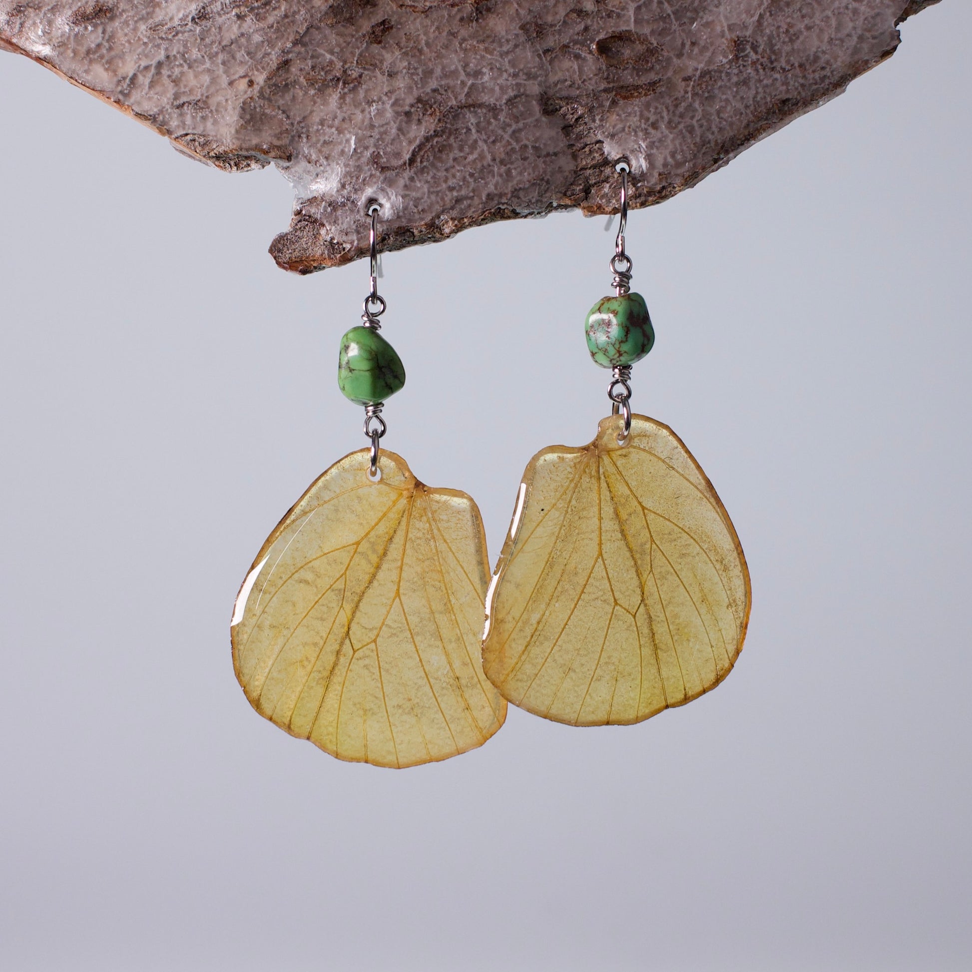 real butterfly wing earrings great orange tip butterflies rare gaspeite surgical steel earring on wood stand