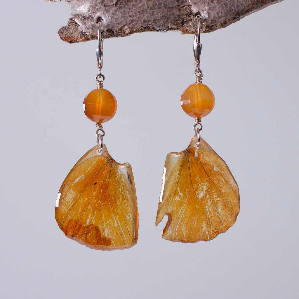 real butterfly wing earrings orange Albatross butterflies carnelian silver locking earring wood stand