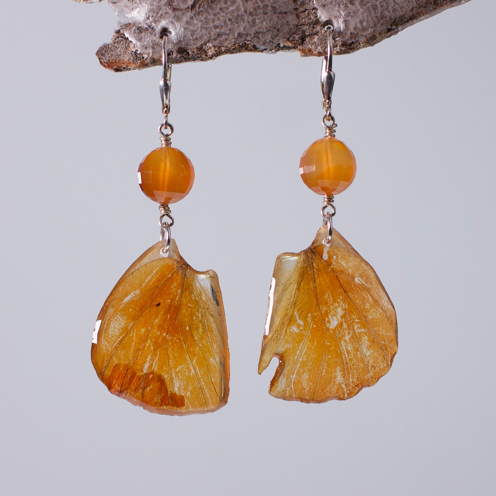 real butterfly wing earrings orange Albatross butterflies carnelian silver locking earring wood stand