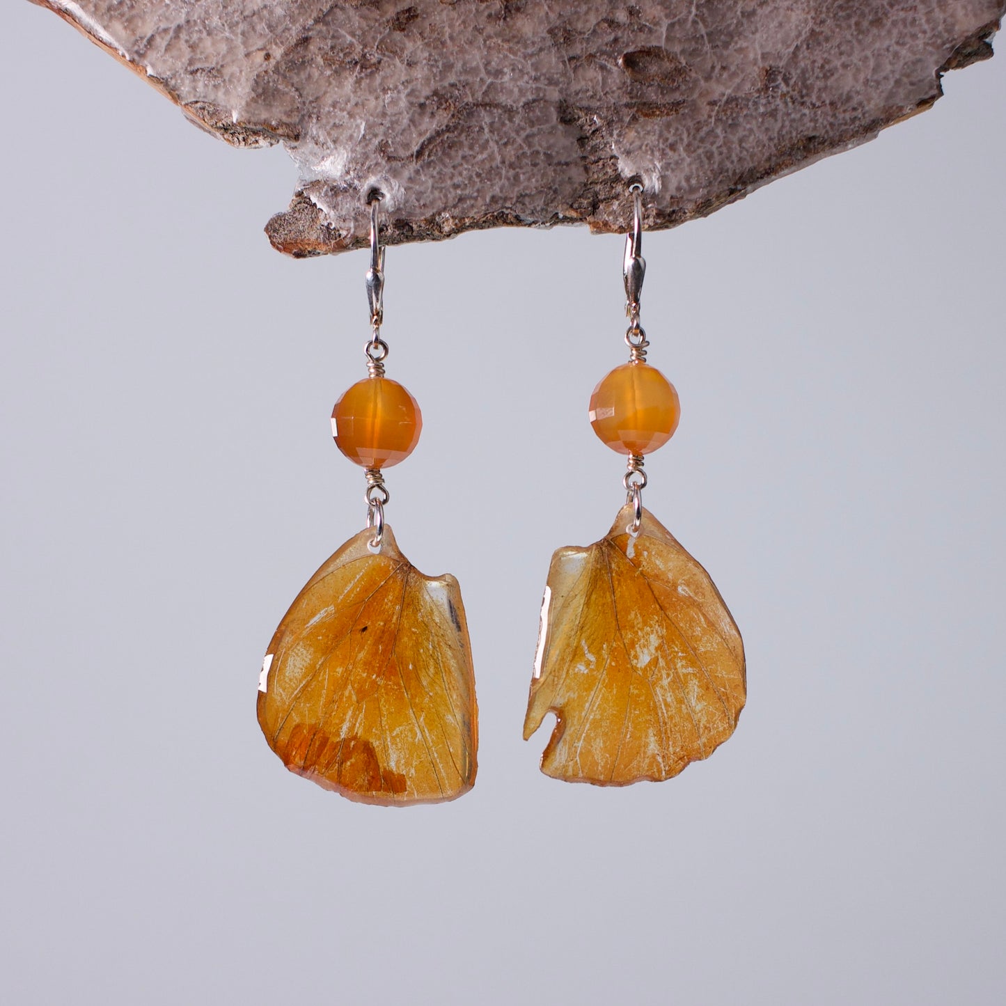 real butterfly wing earrings orange Albatross butterflies faceted carnelian silver locking earring on wood stand