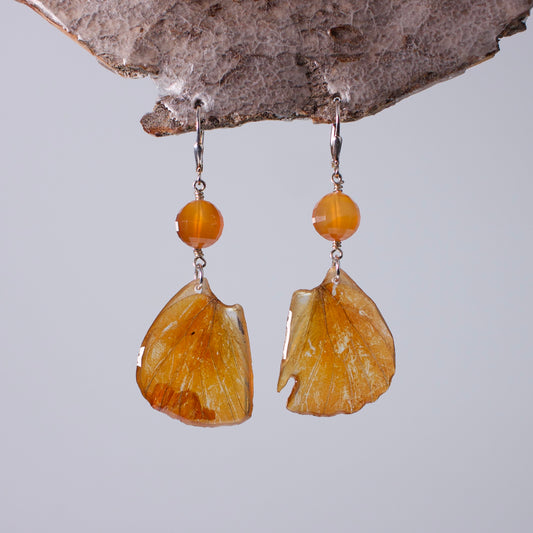 real butterfly wing earrings orange Albatross butterflies faceted carnelian silver locking earring on wood stand