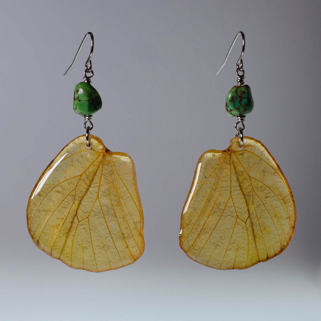 real butterfly wing earrings great orange tip butterflies gaspeite surgical steel French wire earring