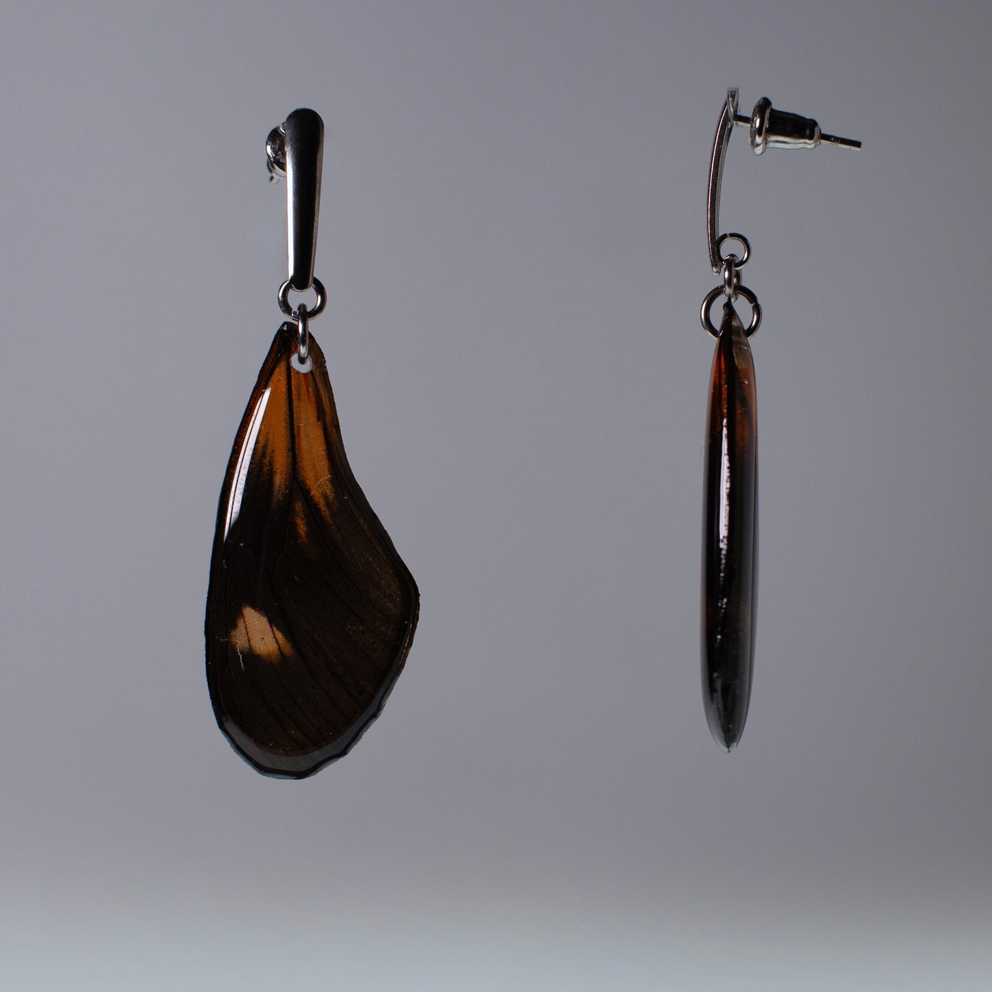 real butterfly wing earrings read black Heliconius butterflies steel post earring side view grey background