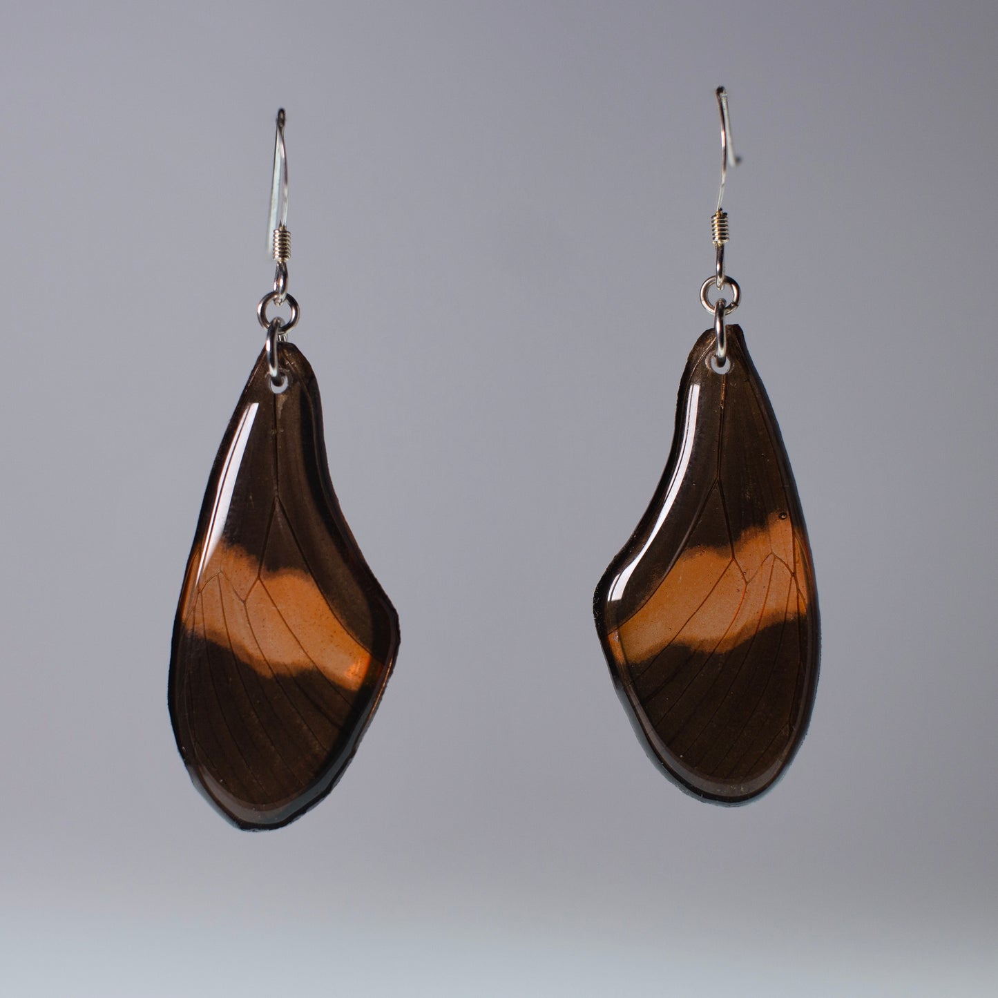real butterfly wing earrings red Heliconius butterflies silver French hook earring grey background