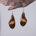 real butterfly wing earrings red Heliconius butterflies silver French wire earring on wood stand