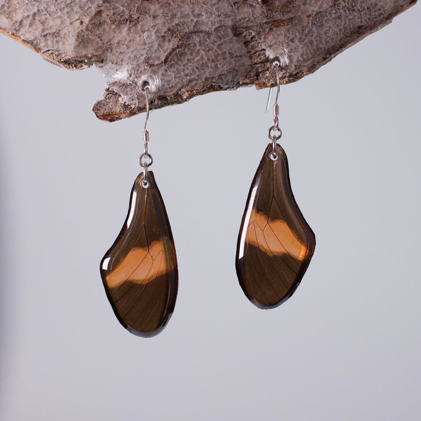 real butterfly wing earrings red Heliconius butterflies silver French wire earring on wood stand